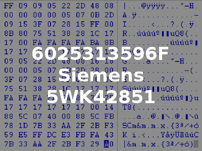 6025313596F Siemens 5WK42851