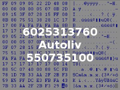 6025313760 Autoliv 550735100