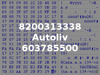 8200313338 Autoliv 603785500
