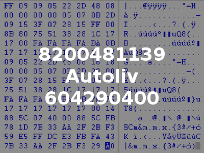 8200481139 Autoliv 604290400