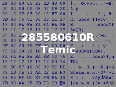 285580610R Temic