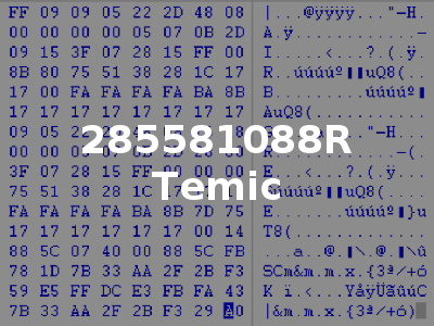 285581088R Temic