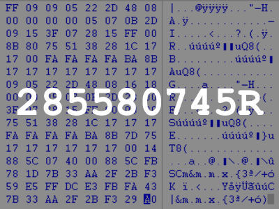 285580745R