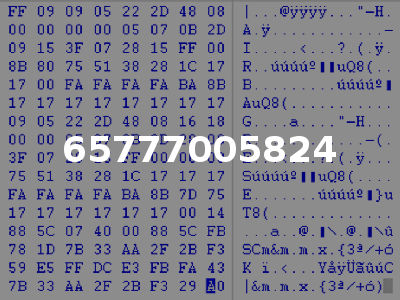65777005824