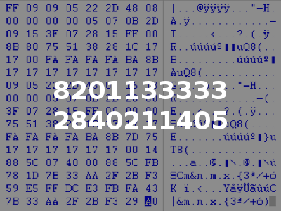 8201133333 2840211405