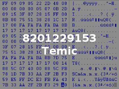 8201229153 Temic