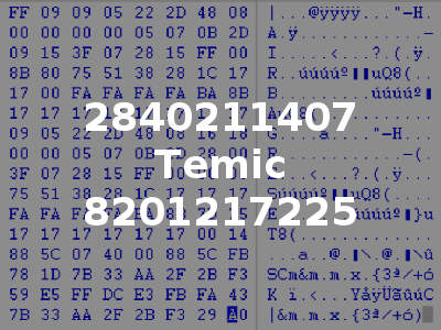 2840211407 Temic 8201217225