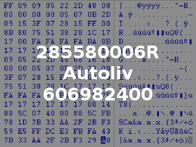 285580006R Autoliv 606982400