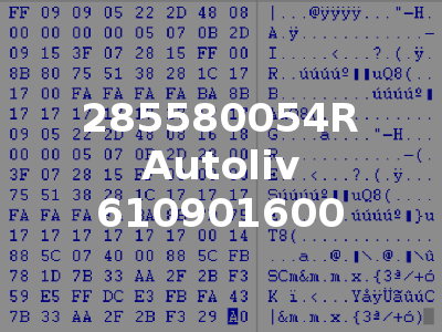 285580054R Autoliv 610901600