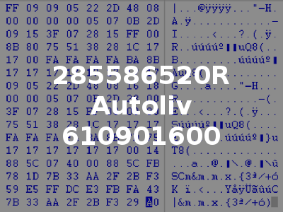285586520R Autoliv 610901600