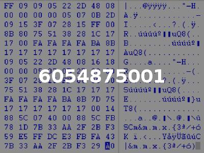6054875001