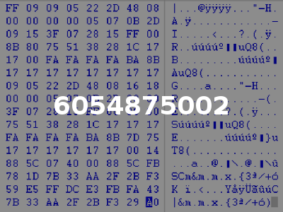 6054875002