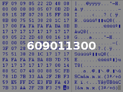 609011300