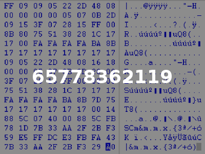 65778362119