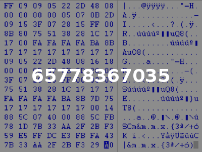 65778367035