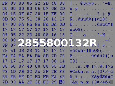 2855800132R