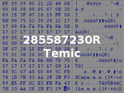 285587230R Temic