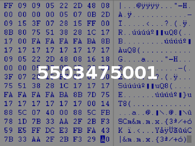 5503475001