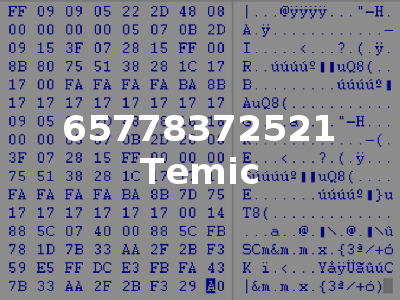65778372521 Temic