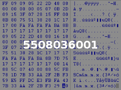 5508036001