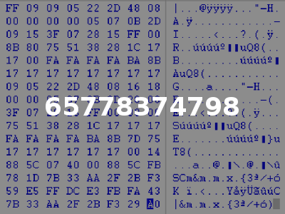 65778374798