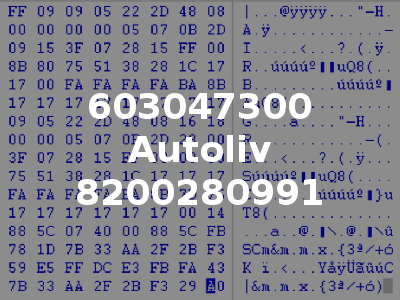 603047300 Autoliv 8200280991