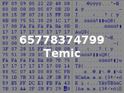 65778374799 Temic