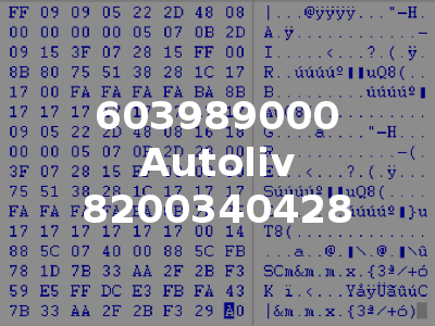 603989000 Autoliv 8200340428
