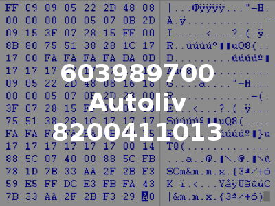 603989700 Autoliv 8200411013