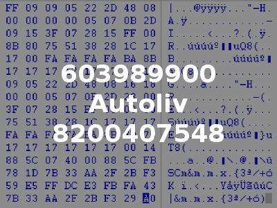 603989900 Autoliv 8200407548
