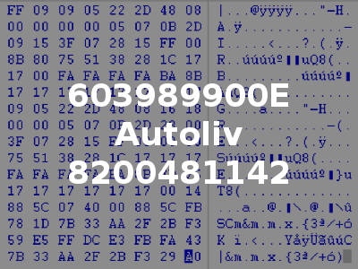 603989900E Autoliv 8200481142