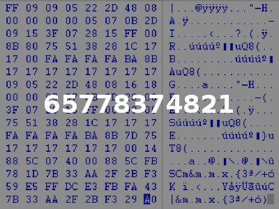 65778374821
