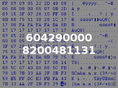 604290000 8200481131