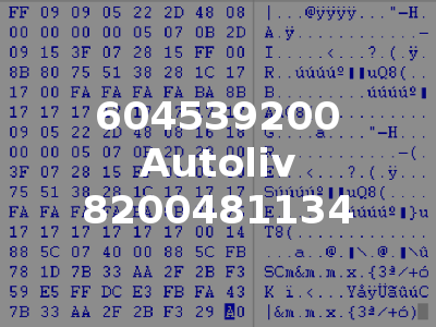 604539200 Autoliv 8200481134