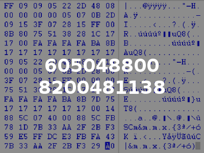 605048800 8200481138