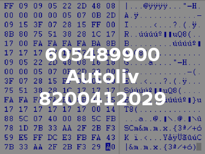 605489900 Autoliv 8200412029