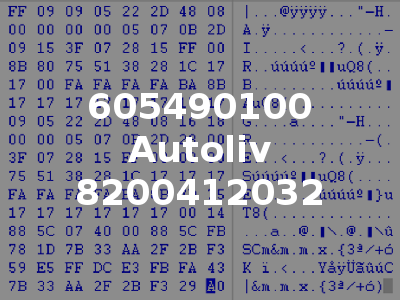 605490100 Autoliv 8200412032
