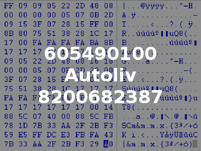 605490100 Autoliv 8200682387