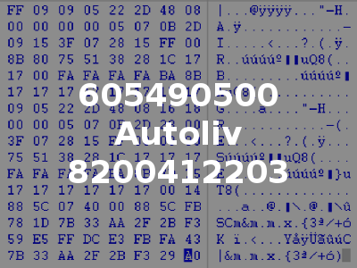 605490500 Autoliv 8200412203