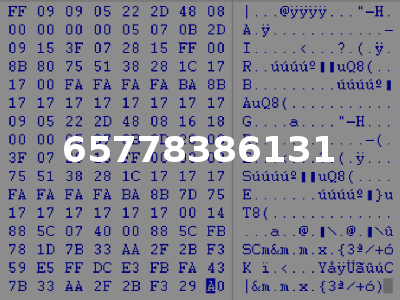 65778386131