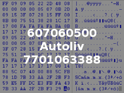 607060500 Autoliv 7701063388