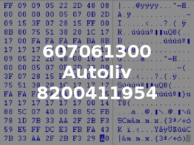 607061300 Autoliv 8200411954