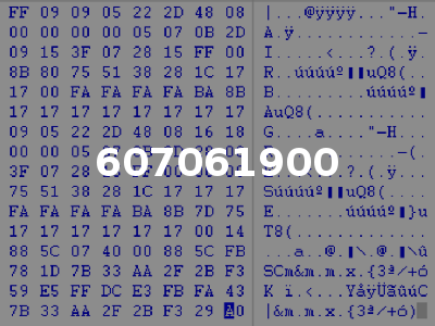 607061900