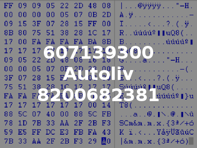 607139300 Autoliv 8200682381