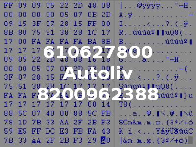 610627800 Autoliv 8200962388