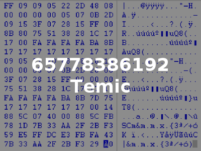 65778386192 Temic