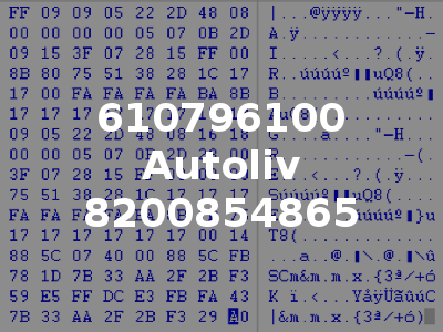 610796100 Autoliv 8200854865