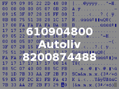610904800 Autoliv 8200874488