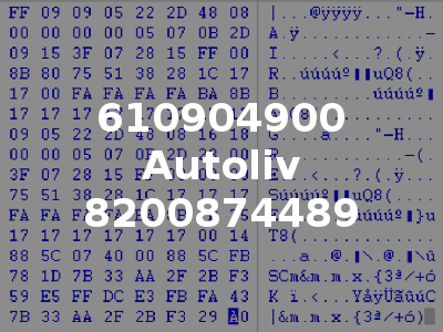 610904900 Autoliv 8200874489