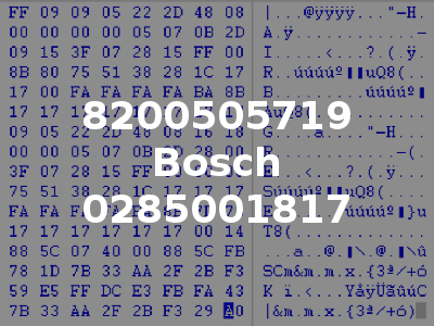 8200505719 Bosch 0285001817